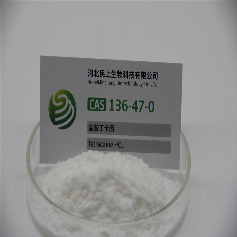 High quality Raw Material Tetracaine HCL Powder Tetracaine Hydrochloride CAS 136-47-0 from China