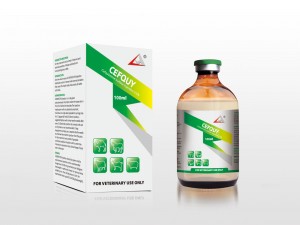 Cefquinome Sulfate Injection 2.5%