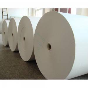 Paper fan/paper sheet/roll bottom paper for paper cup