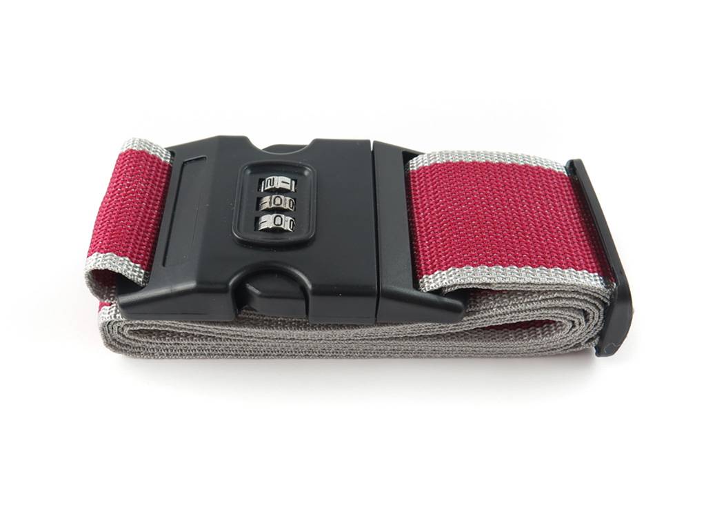 Web luggage strap with password lock