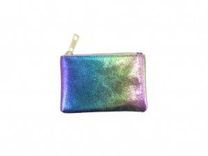 Rainbow Iridescent purse