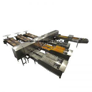 Egg Grading and packing Machine