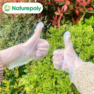 Disposable Biodegradable Gloves