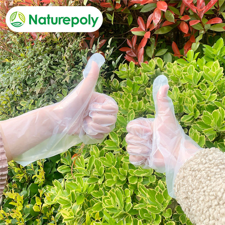 Disposable Biodegradable Gloves Featured Image