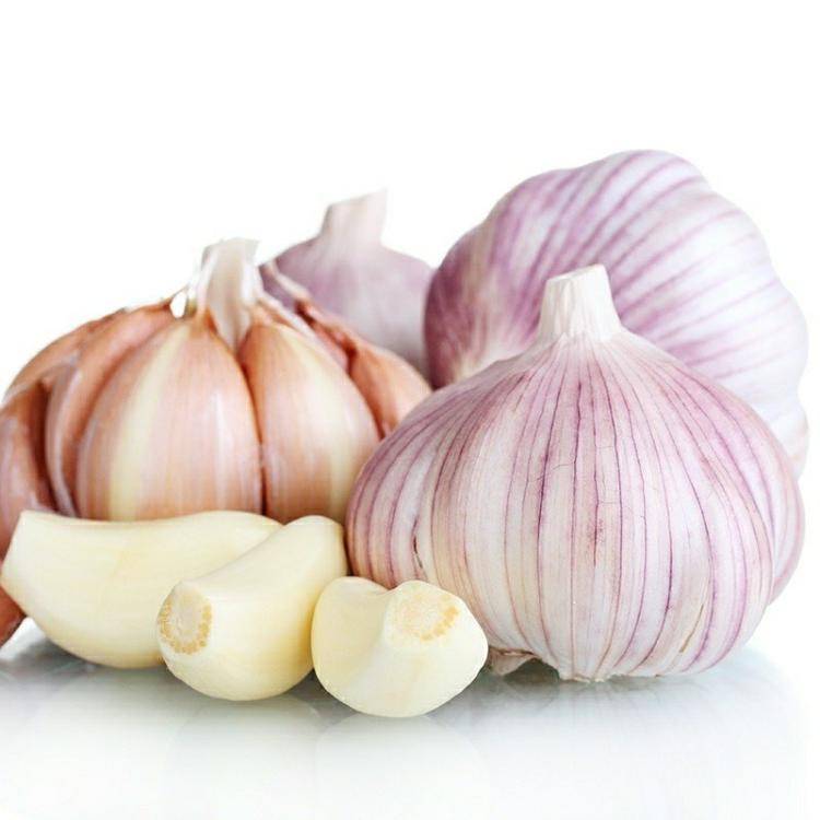 Fresh Garlic Featured Image
