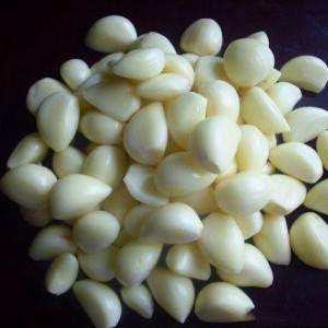 Fresh garlic clove