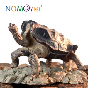 [Copy] Resin turtle model Galapacos