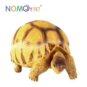 [Copy] Resin turtle model Angonoka M