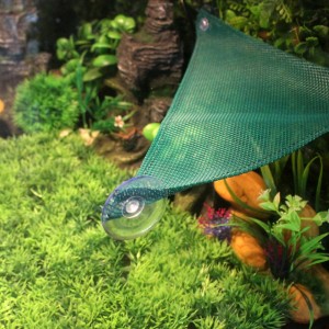 Reptile soft bed