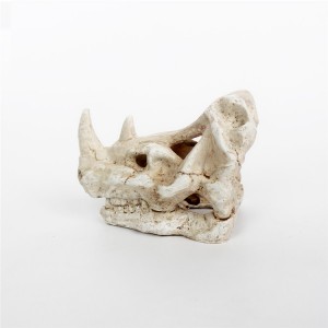 Resin white monster head bone decoration