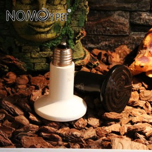 Normal ceramic lamp