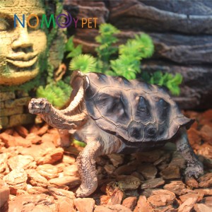Resin turtle model Galapacos