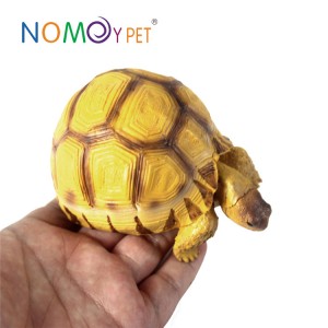 Resin turtle model Angonoka M