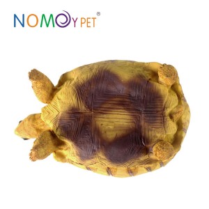 Resin turtle model Angonoka L