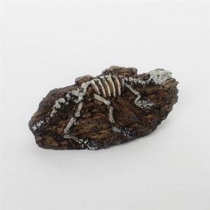 Resin dinosaur fossil decoration