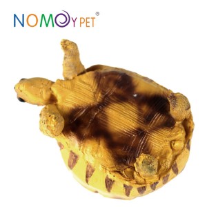 Resin turtle model Angonoka M