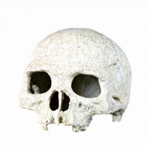 Resin half head bone decoration