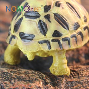 Resin turtle model Little indian star