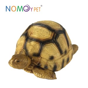 Resin turtle model Angonoka S
