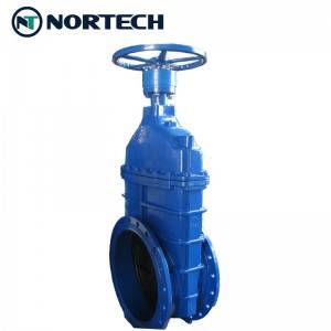 Resilient Seated Cast Iron gate valve