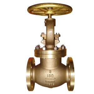 C95800 globe valve