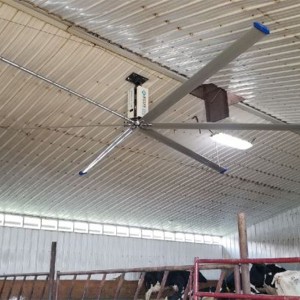 HVLS Big Fans For Poultry Cow Barn