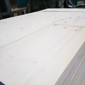 Poplar Plywood