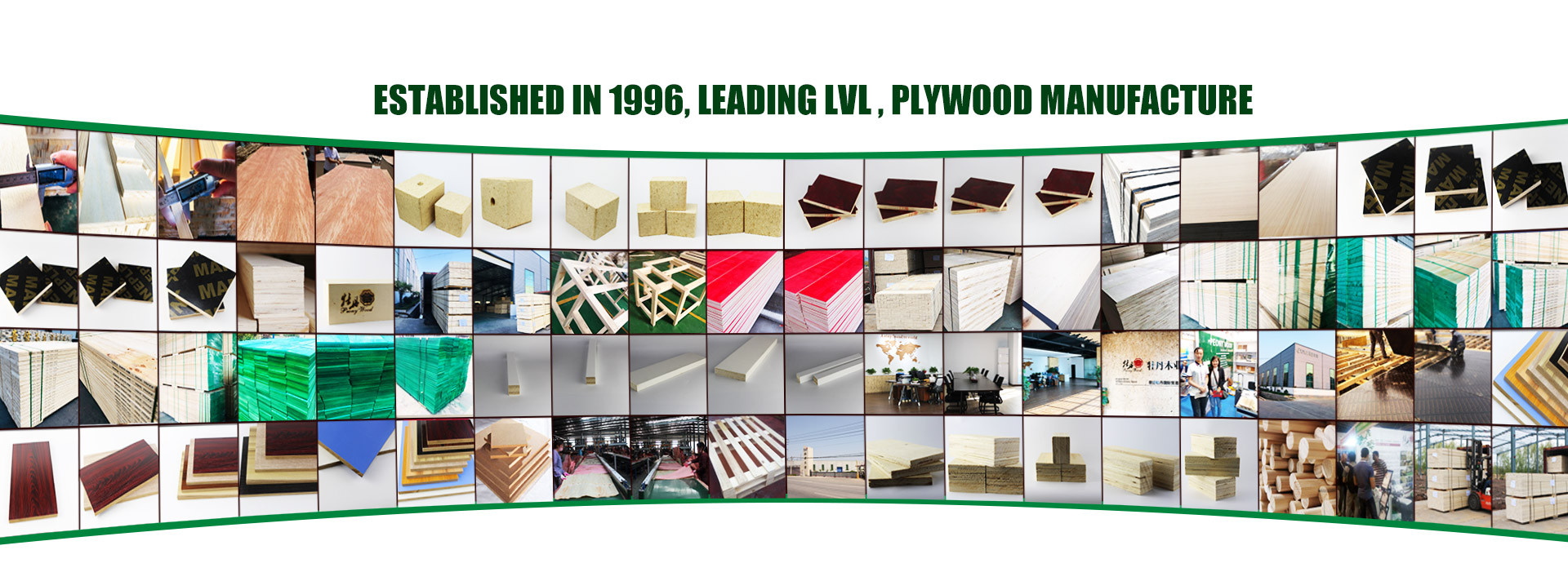 Established in 1996, leading LVL , plywood manufacture