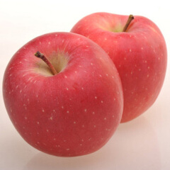 Export 2020 new crop fresh apple fruit with good price
