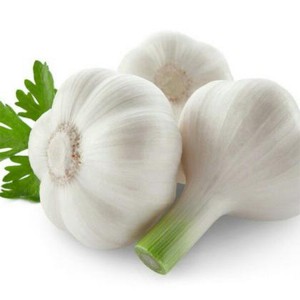 new crop fresh normal Chinese fresh white garlic price for sale