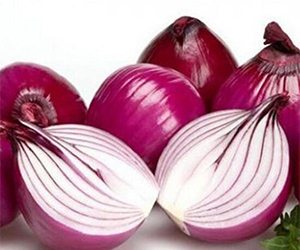 Seasonal crop onion coming out!