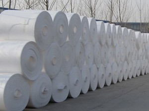 PS foam sheet rolls