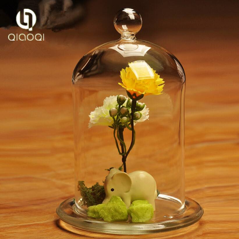Borosilicate round glass bell cover / glass bell dome