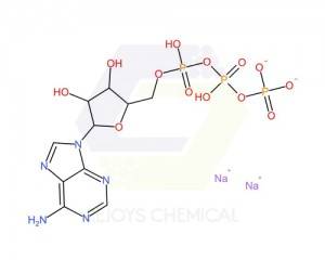 987-65-5 | Adenosine 5′-triphosphate disodium salt