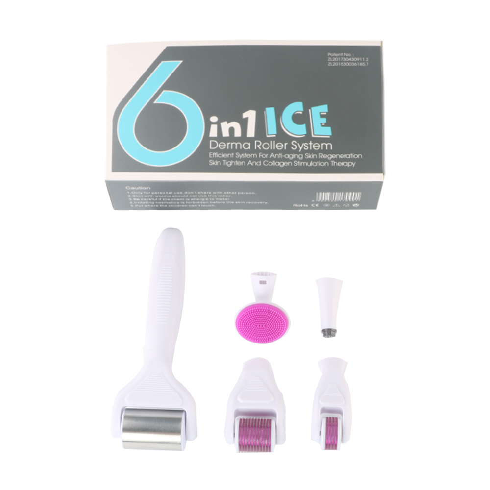 6 in 1 ice derma roller kit