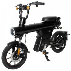 SEBIC motorcycle New Style Central Suspension 16 Inch Comfortable One Wheel Electric Bike
