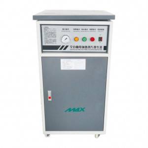 Automatic Electric Heating Steam Generator MAX-12A
