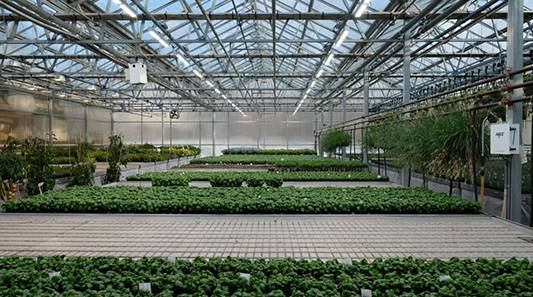 Future agriculture—shineon horticulture lighting