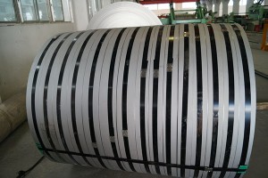 hot rolled stainless steel strip