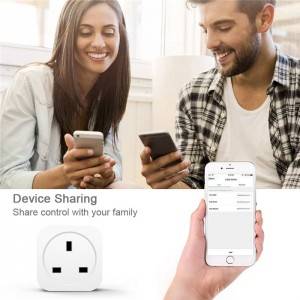 Factory Direct High Quality Remote Control Of Mobile App Smart Plug Wifi 16Amp