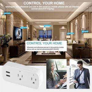 High Quality Wholesale Custom Cheap Remote Control Of Mobile App Mini Wifi Smart Plug 16A Power Switch Support