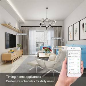 Factory Direct High Quality Remote Control Of Mobile App Smart Plug Wifi 16Amp