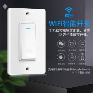 High Quality Product Support Amazon And Other Intelligent Voice Control Alexa Google Wifi Touch Switch