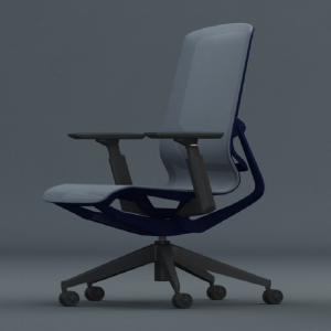 Ergonomic Chair New Design-4