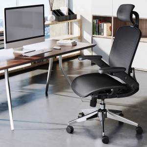 Ergonomic Mesh Office Chair LKC-245