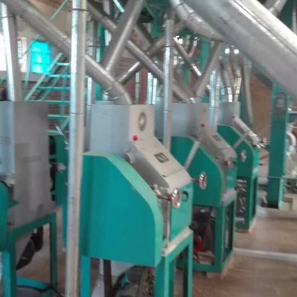 30T/D Wheat Flour Mill Featured Image