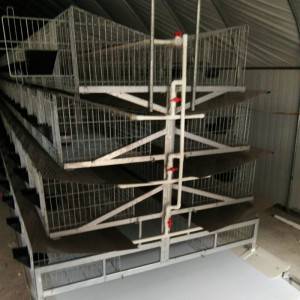 rabbit cage of 32doors(A type)