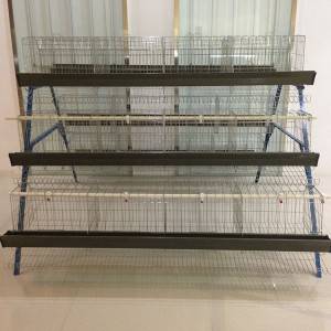 A type cages for hens