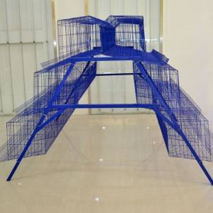 A type cages for hens