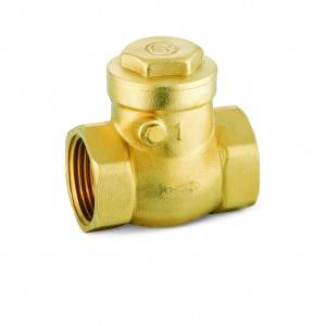 OEM China Brass Electric Solenoid Valve - CHECK VALVES-S1007 – Shangyi